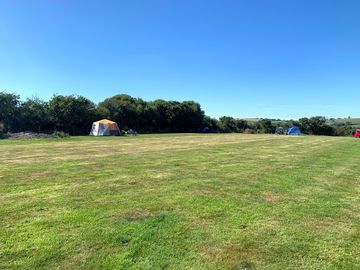 Grass pitches