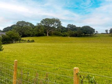 The grass pitch area