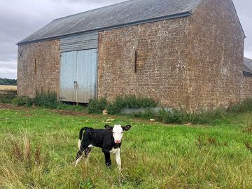 One of the farm buildings