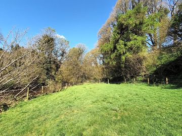 This corner of the field