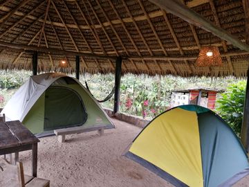 Sheltered/shaded pitches
