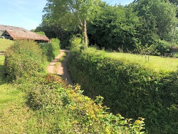 On a working organic farm