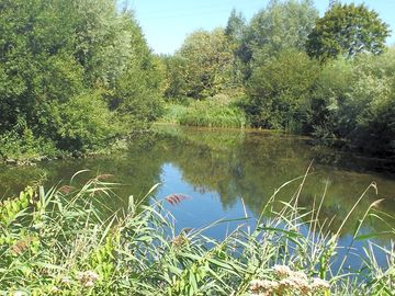 Plenty of spots around the family lake to pitch up