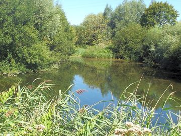 Plenty of spots around the family lake to pitch up (added by manager 28 Jan 2021)