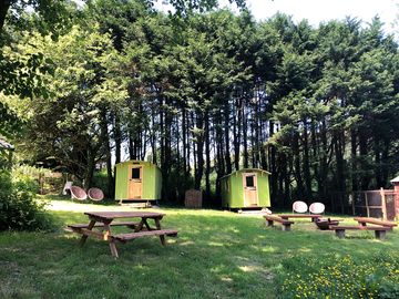 Picnic tables and huts shaded by trees