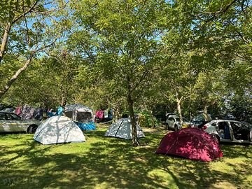 Camp under the trees