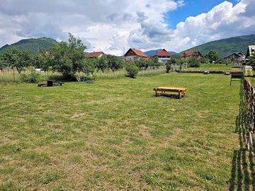View of the site