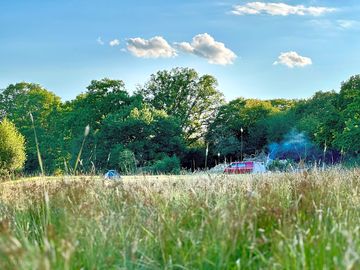 Sunny days in the meadow