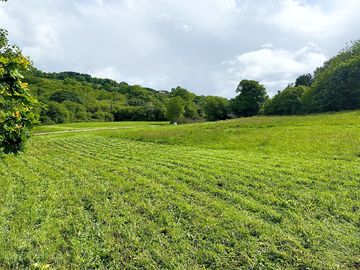 Grass pitches