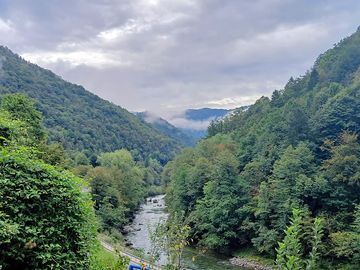 Views around the site