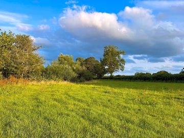 Camping field