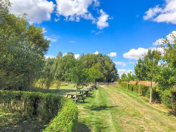 Grass pitches