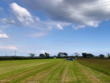 View of the field