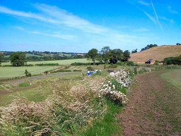 Beautiful area for tents