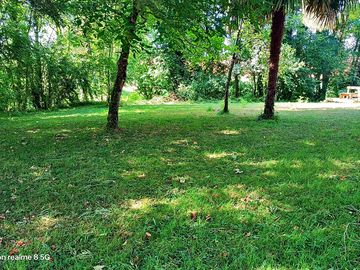 Pitches shaded by trees
