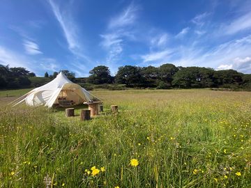 Set in a hay meadow on a family farm (added by manager 19 Jul 2021)