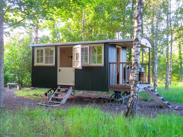 Foxes retreat