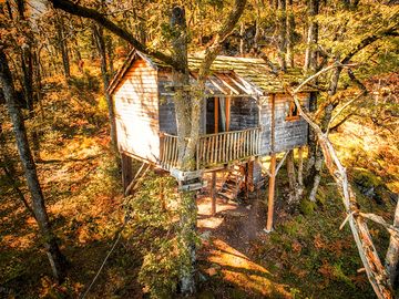 Treehouse in the woods