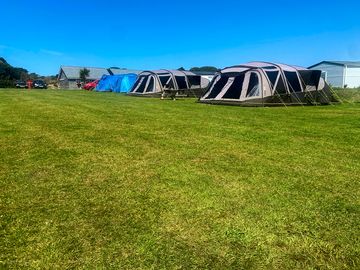 Pitch 15 & 16 - electric grass pitches