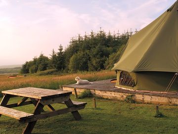 Stunning views of cardigan bay and snowdonia from site