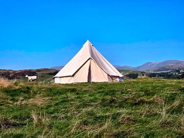 Bell tent pitched up on our farm