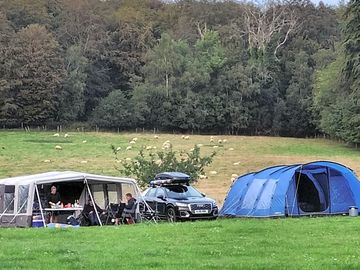 Beautiful views and spacious pitches. we are 2 families so choice to stay close.