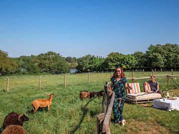 Resident animals meet the guests