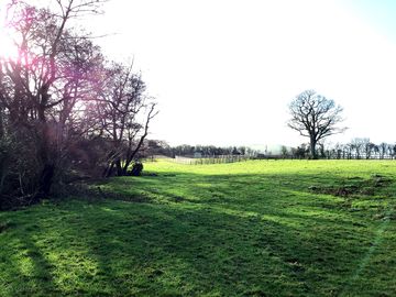 Natural surroundings