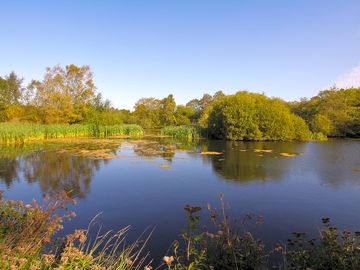 Lakes by wantisden park
