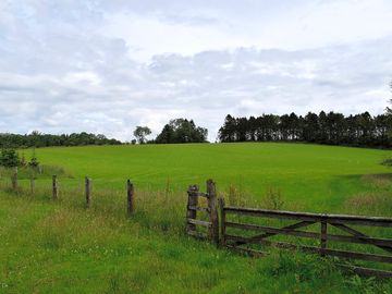 View to the right of the entrance/walkway.