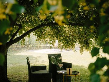 Shady picnic seating under the linden tree