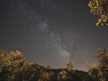 A night sky from the yurt veranda