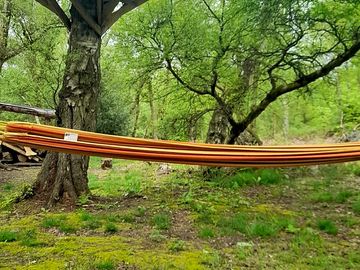 Hammock