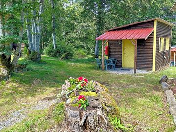 Cabin in the woods