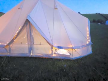 Forget-me-not tent lit up at night