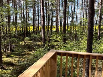 View from the deck