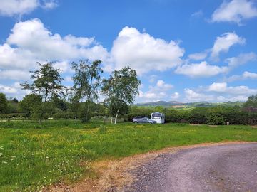 Driving in, no mow may patch!