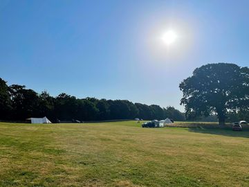 Shady tent pitch areas under the trees