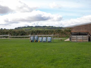 Life on the farm