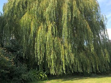 Meadowcroft cl