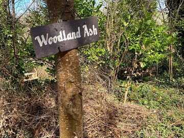 Woodland