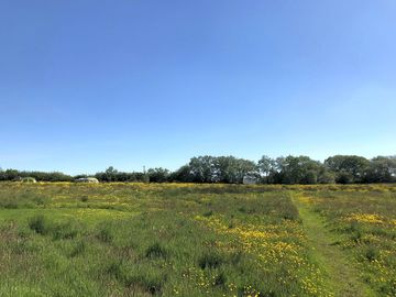 Camping field