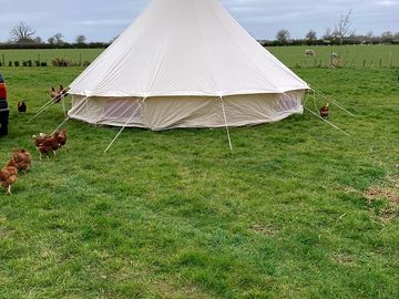 Bell tent