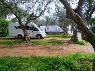 Pitches among the trees