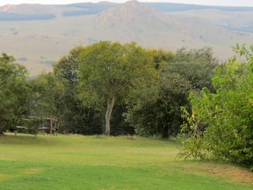 View of the mountains beyond the site