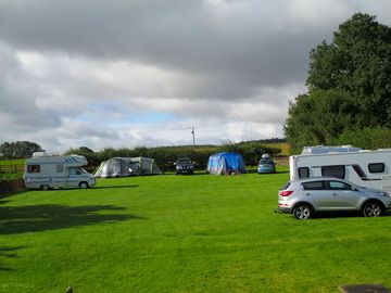 Clean cut site with some shelter