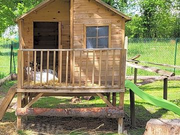 Play area for goats
