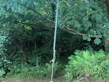 Rope swing near the stream