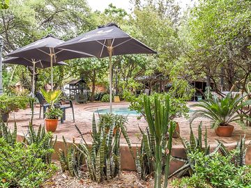 Umbrellas for some poolside shade