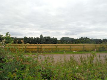 View to fields
